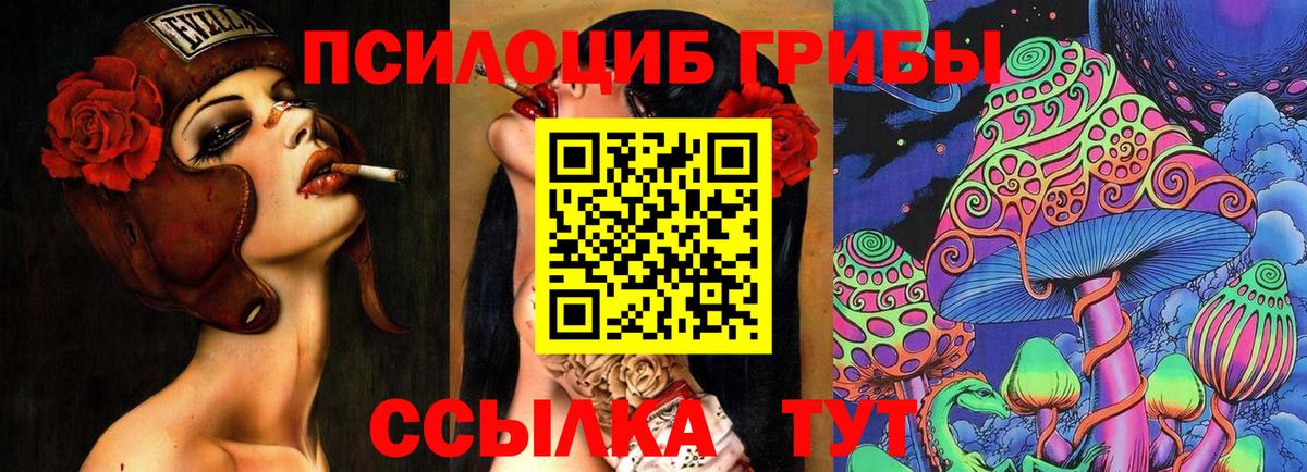 Псилоцибиновые грибы GOLDEN TEACHER  Вход с VPN  Кольчугино 
